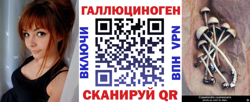Галлюциногенные грибы Psilocybe  Купить  Реж 